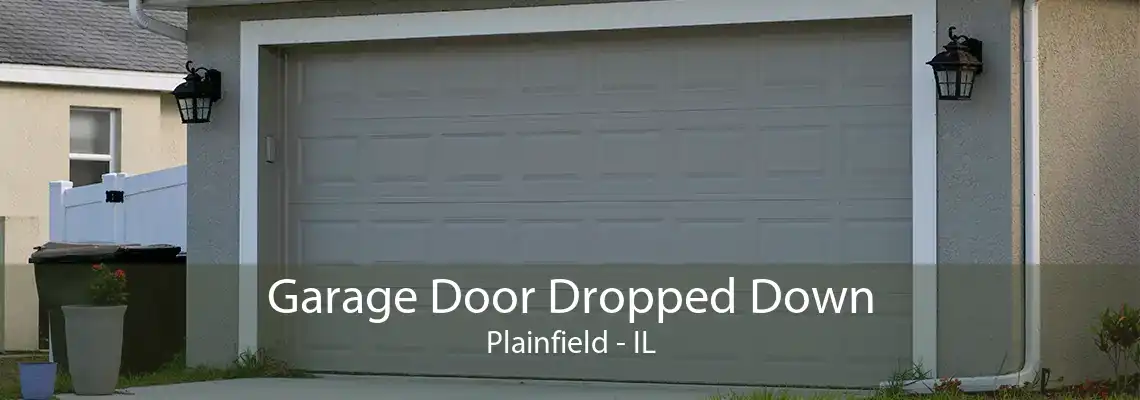 Garage Door Dropped Down Plainfield - IL