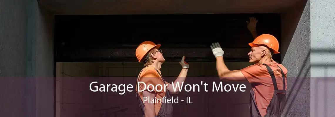 Garage Door Won't Move Plainfield - IL