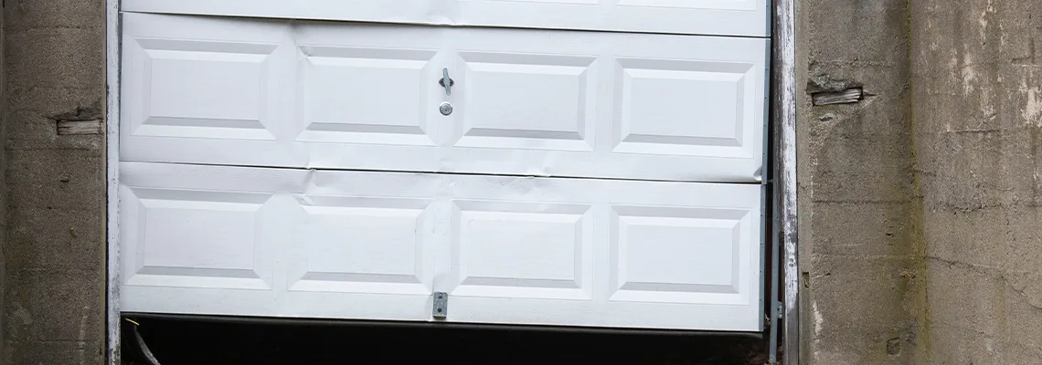 Garage Door Got Hit By A Car Dent Removal in Plainfield, IL